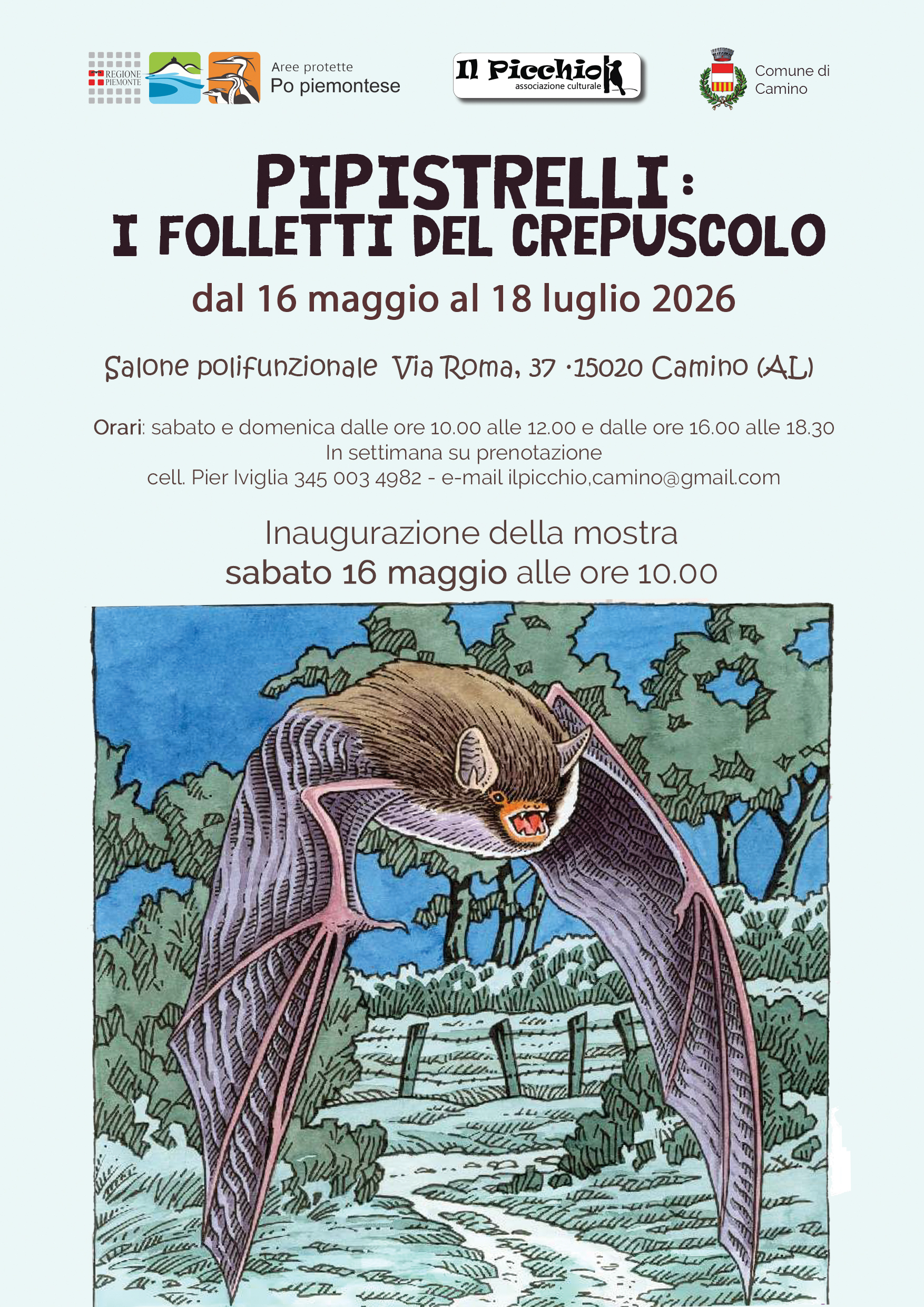 Pipistrelli: folletti del crepuscolo